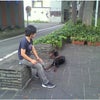前橋市 渋川市 犬のしつけ 街中訓練の画像