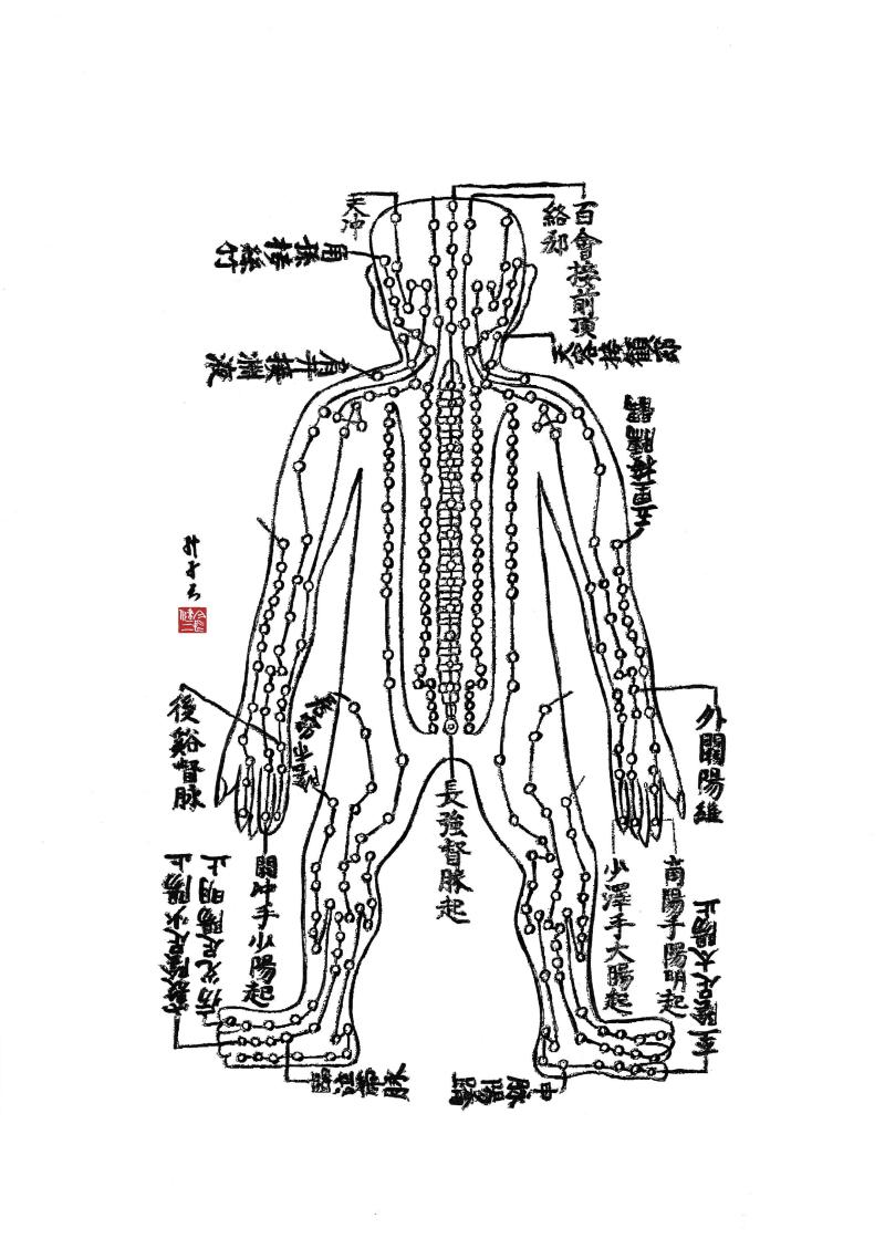 経絡学説　～経別、絡脈、経筋、皮部～