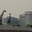 韓国旅行2012　④の記事より