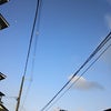 今日から《立秋》でも大阪の猛暑日はつづく★の画像