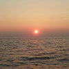 海釣りの画像