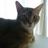 8月6日〜8月12日に投稿したなうの画像