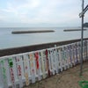 大島に出来た海の家「魚蔵」の画像