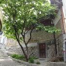 韓 国旅行2012　⑦　最終日の記事より