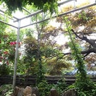 韓国旅行2012　⑦　最終日の記事より