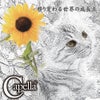 Capella 1stシングル [移り変わる世界の成長点] 2012年10月31日発売の画像