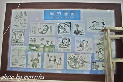 中国大連生活・観光旅行ニュース*＊-旅順蛇島老鉄山自然博物館