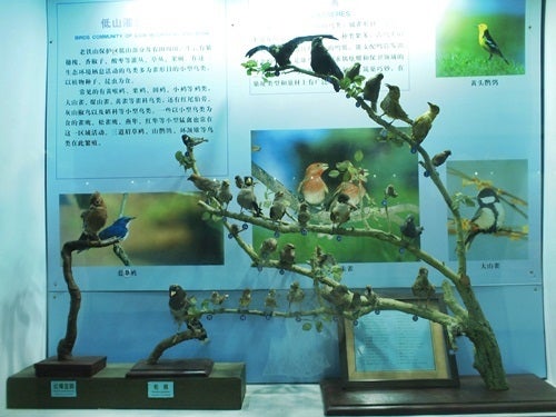 中国大連生活・観光旅行ニュース*＊-旅順蛇島老鉄山自然博物館