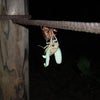 夜の公園の画像