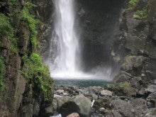 モグワイのバオバブダイアリー-根尾の滝滝壺