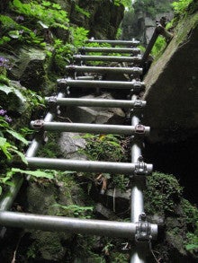モグワイのバオバブダイアリー-根尾の滝遊歩道の梯子