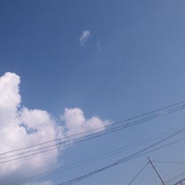 ブログ投稿画像