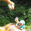 おでかけコレクション②の画像