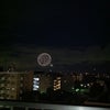 多摩川花火大会の画像