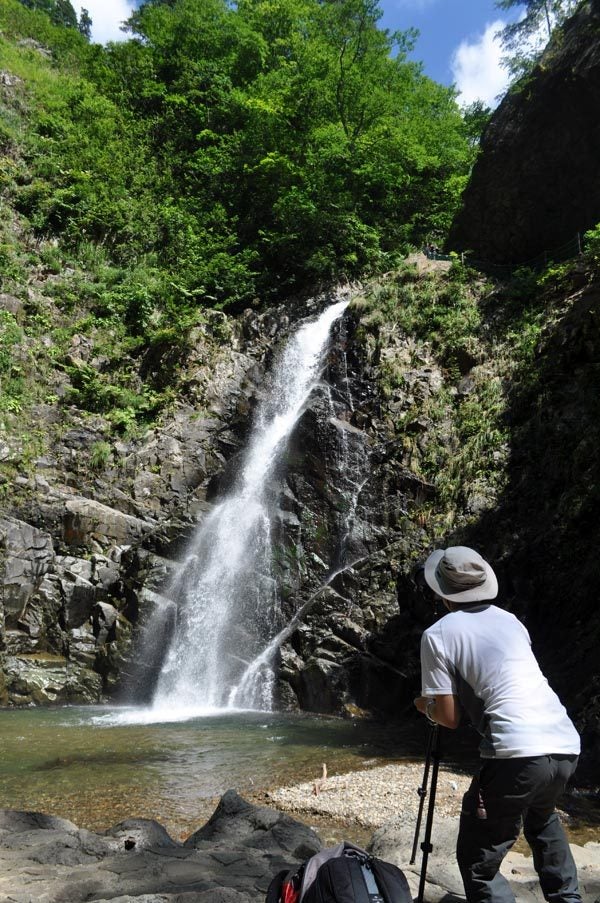 $白神山地ツアーの白神なびスタッフブログ-2012年8月下旬の白神山地暗門の滝7
