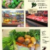 蘇州新区　獅山集貿野菜・果物市場の画像