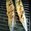 初秋刀魚の画像