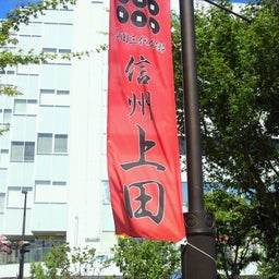 まんまさんのお気楽ﾌﾞﾛｸﾞ-2012082513120003.jpg