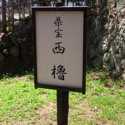 まんまさんのお気楽ﾌﾞﾛｸﾞ-2012082511230000.jpg