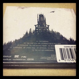 $Enjoy The Life-dead_end_kings_back