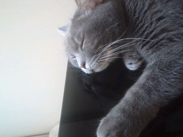 舞うぜ！！ HATIROGU-mini_120828_1115.jpg