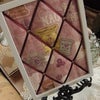 ア ビス千葉寺教室の画像