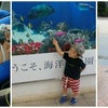 ☆沖縄旅行2日目☆の画像