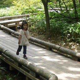 tocotoco日記。