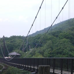 tocotoco日記。