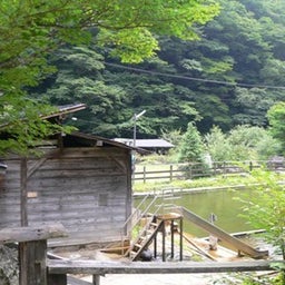 tocotoco日記。