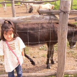 tocotoco日記。