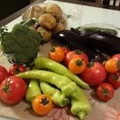 9月1日の記事より