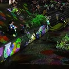 9月1日【夜の部】の記事より