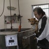 日本被災犬終身保護センター設立に向けての画像