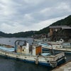 いねぇの画像