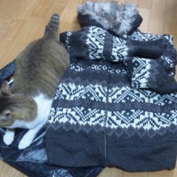 画像 久しぶりに買い物へ♪ TT の記事より 3つ目