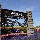 9月8日（土）富良野の記事より