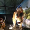 恐竜王国2012に行ってきました！ その２の画像