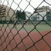 子供のテニスの画像