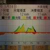 (荒れてました)発電報告 日別 2012/9/14(京セラ4.21kw)の画像