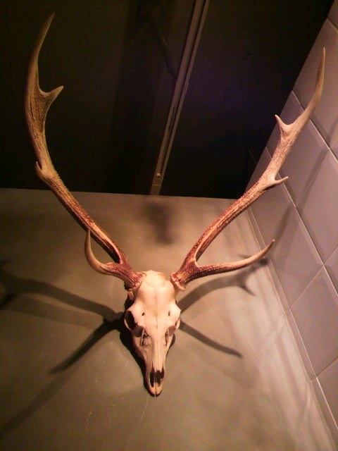 2012091817510000.jpg