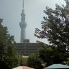 ヾ(￣^￣)「へら鮒様」の画像