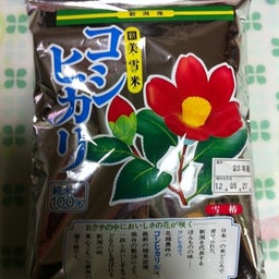 photo:01