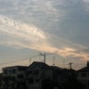 本日(2012/9/22)のジョギング（夕方編）の画像