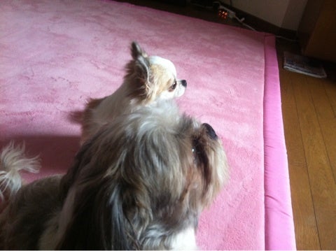 photo:01