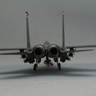 技ＭＩX航空機シリーズ AC25アメリカ空軍 F-15E 第494戦闘飛行隊レイクンヒース 3の記事より