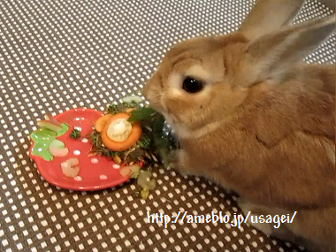 ウサギのためのチモシーケーキのレシピ うさぎブログ ウサ芸