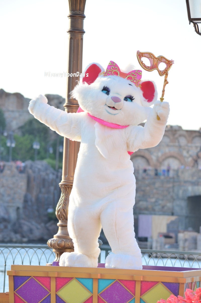 猫に仮面 Disney Toon Days ディズニー トゥーン デイズ