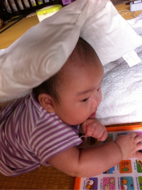 photo:02