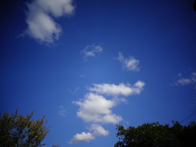 Favorite Song  清水翔太　366日の記事より